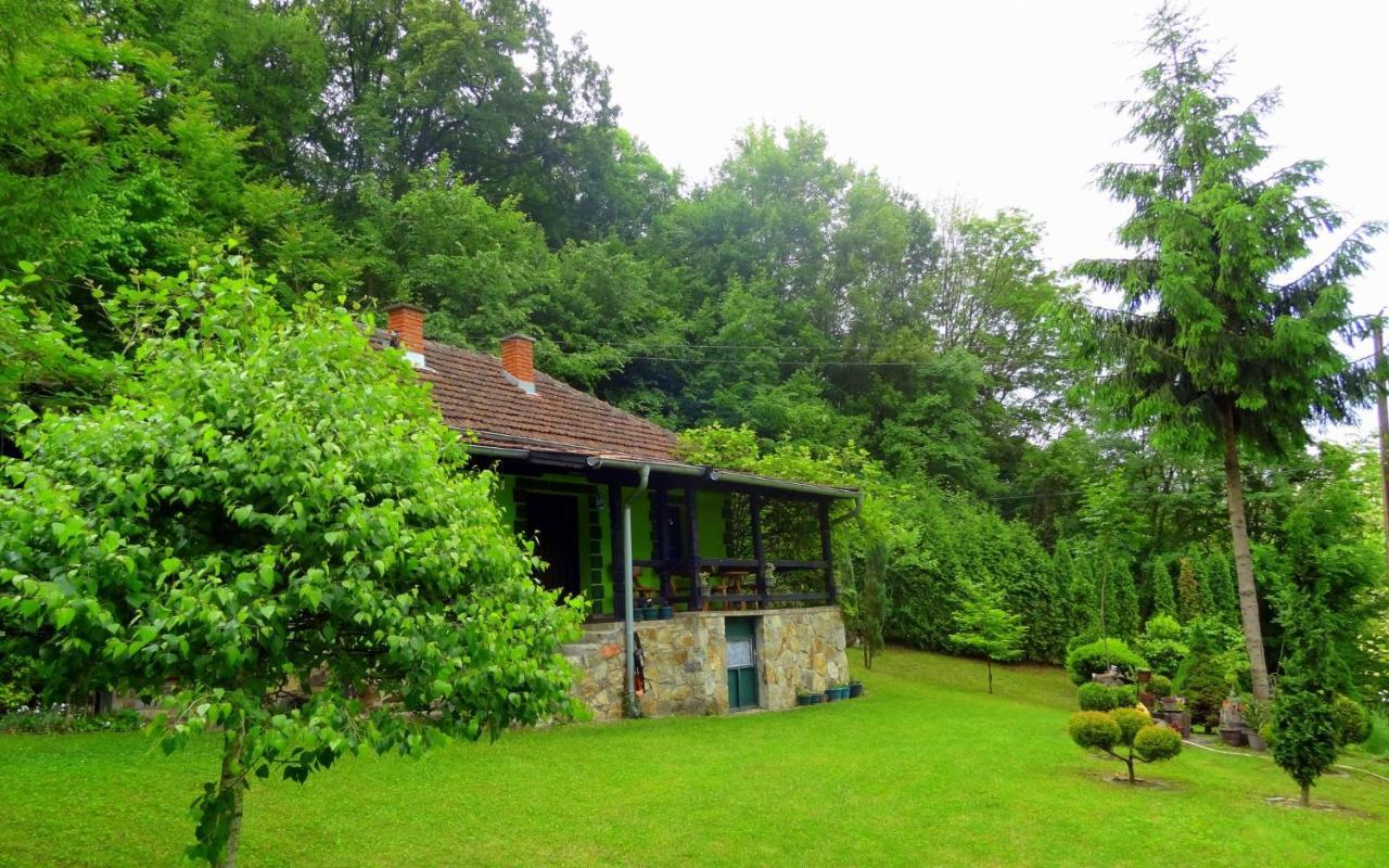 Etno-Kuca "Leka" Klisura Villa Despotovac Luaran gambar