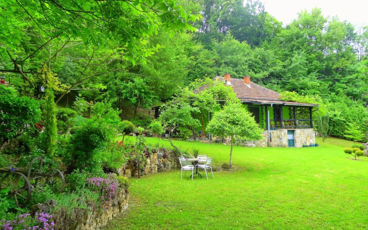 Etno-Kuca "Leka" Klisura Villa Despotovac Luaran gambar