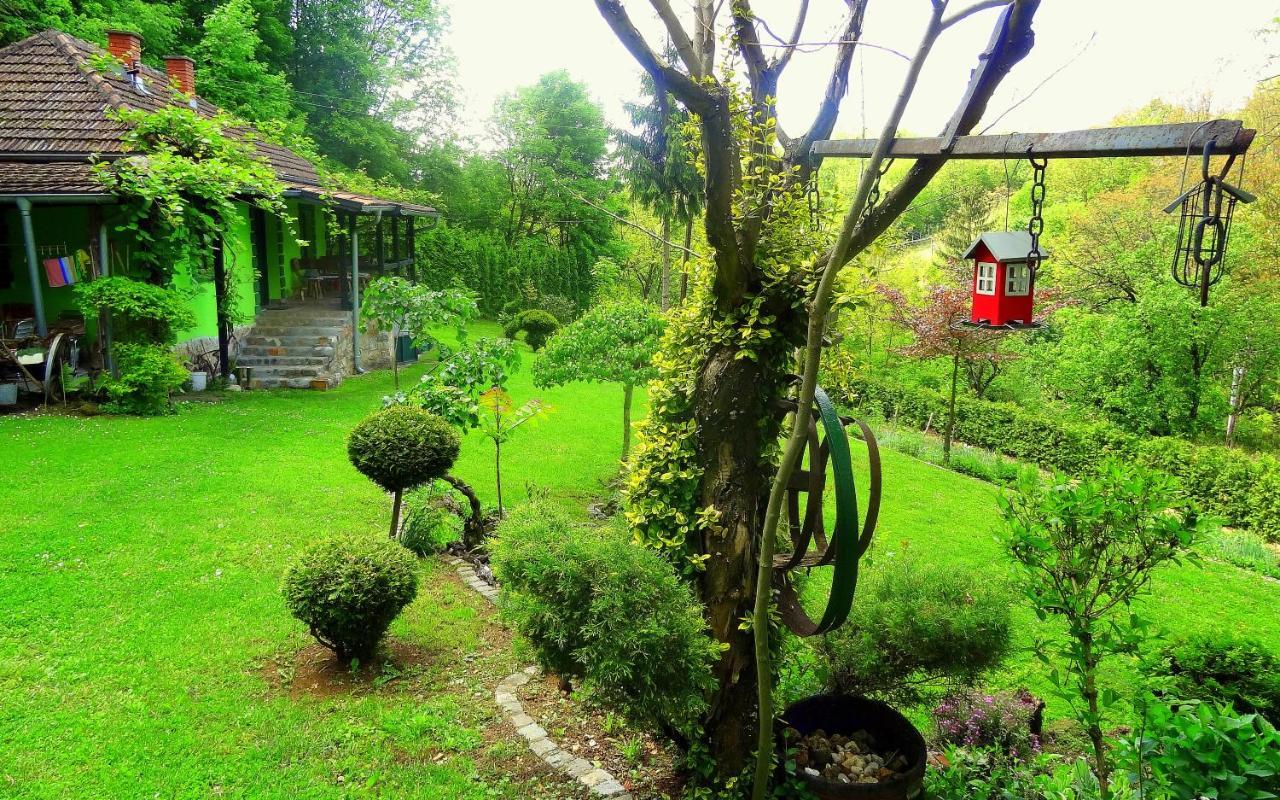 Etno-Kuca "Leka" Klisura Villa Despotovac Luaran gambar