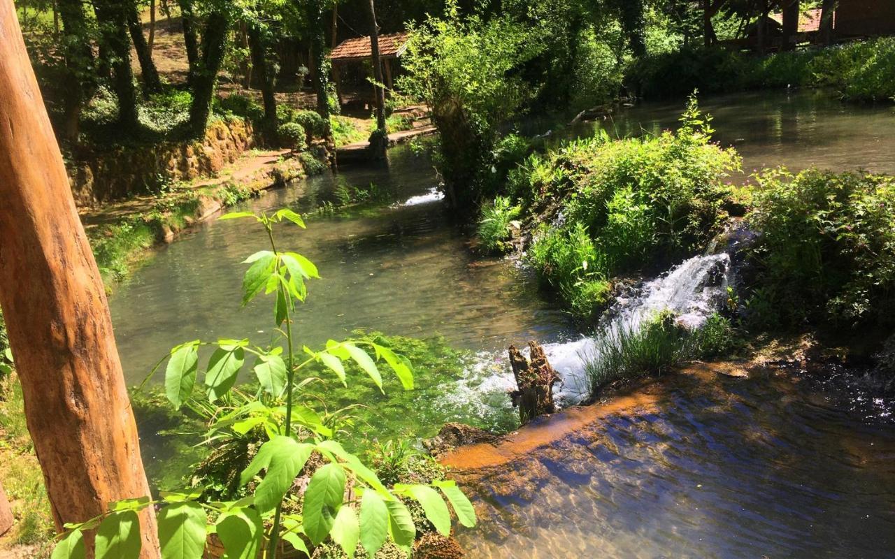 Etno-Kuca "Leka" Klisura Villa Despotovac Luaran gambar