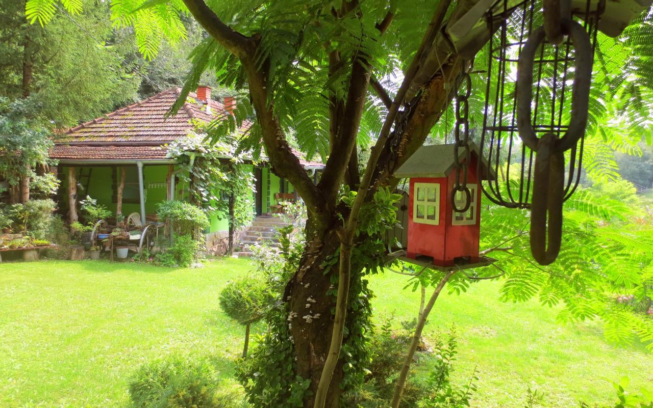 Etno-Kuca "Leka" Klisura Villa Despotovac Luaran gambar
