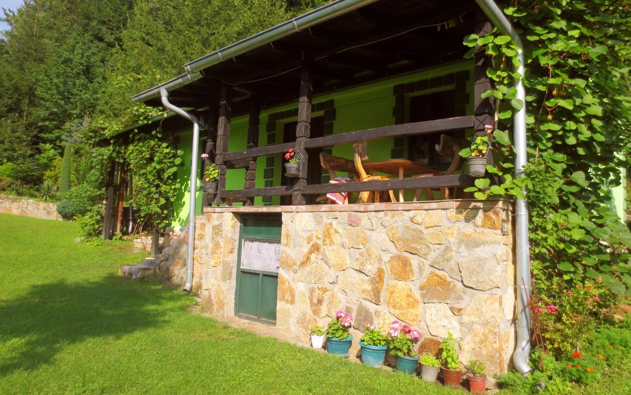 Etno-Kuca "Leka" Klisura Villa Despotovac Luaran gambar