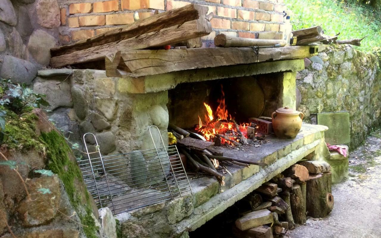 Etno-Kuca "Leka" Klisura Villa Despotovac Luaran gambar