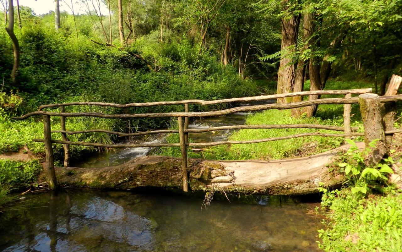 Etno-Kuca "Leka" Klisura Villa Despotovac Luaran gambar